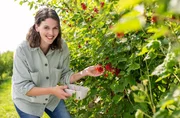 Bei der heutigen Gastgeberin Inga Flachmeier vom Bergs Hof in Herford spielt Beerenobst die Hauptrolle. Erdbeeren, Stachelbeeren, Blaubeeren und neue Sorten wie Aronia und Taybeere werden auf dem Hof angebaut. Bei der heutigen Gastgeberin Inga Flachmeier vom Bergs Hof in Herford spielt Beerenobst die Hauptrolle. Erdbeeren, Stachelbeeren, Blaubeeren und neue Sorten wie Aronia und Taybeere werden auf dem Hof angebaut.