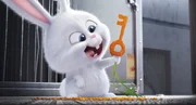 Snowball.
