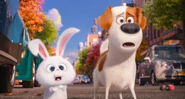 Snowball, l.; Max, r.
