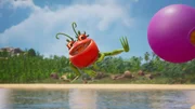 Tomatodons sind lustige, verspielte Gesellen. Tomatodons sind lustige, verspielte Gesellen.