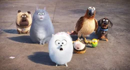 From left: Mel, Chloe, in the middle Gidget and on Triberius and on right Buddy.