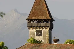 Im Mittelalter bauten die Siedler Kirchenburgen, um sich bei Angriffen feindlicher Heere zu verschanzen. Sieben von ihnen wurden von der Unesco als Weltkulturerbe anerkannt. Sie bieten Lebensraum f&uuml;r St&ouml;rche, Eulen und Flederm&auml;use.