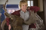 Zieht mitsamt seinem Elchkopf bei seinem frisch verheirateten Freund ein: Randall Dupree (Owen Wilson) ...