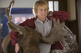Zieht mitsamt seinem Elchkopf bei seinem frisch verheirateten Freund ein: Randall Dupree (Owen Wilson) ...
