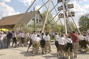 Der letzte Schub - Aufstellen des Unterbrunner Maibaums. Weiteres Bildmaterial finden Sie unter www.br-foto.de.