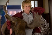 Dupree  (Owen Wilson)