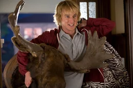 Dupree  (Owen Wilson)
