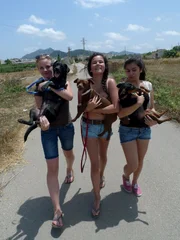 Maja, Louisa und Buse mit Hunden aus dem Tierheim auf Mallorca.