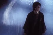 Daniel Radcliffe (Harry Potter).
