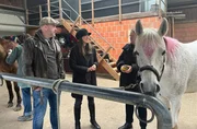 Zwischenbilanz: Wie geht es den Teilnehmenden der Challenge? Auf einem Pferdehof wollen Doc Esser (l) und Ern&auml;hrungsexpertin Jon Chim Bai-Habelski (M) von der Hospizmitarbeiterin Sylvia (r) ihre Fortschritte und Fehltritte h&ouml;ren.