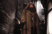 Zun&auml;chst glauben Harry und seine Freunde, dass Hagrid (Robbie Coltrane) vor 50 Jahren die Kammer des Schreckens ge&ouml;ffnet hat. Doch dann geschieht etwas Unglaubliches ...