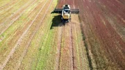 Ab Juli bl&uuml;ht der Hadn, also Buchweizen, rosa auf den Feldern. Bis zur Ernte im Oktober haben sich die Bl&uuml;ten in kleine, kantige K&ouml;rner verwandelt, die so &auml;hnlich aussehen wie N&uuml;sse.