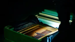 Das gestohlene Kunstwerk wird zum Weiterverkauf angeboten.