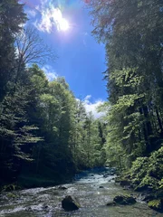 Die Wertach bei sch&ouml;nem Wetter.