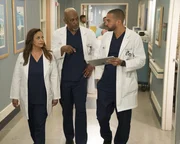 Eigentlich würde Jackson (Jesse Williams, r.) viel lieber Zeit mit Maggie verbringen, doch auf ihn, Catherine (Debbie Allen, l.) und Richard (James Pickens Jr., M.) wartet eine neuartige Operation ... Eigentlich würde Jackson (Jesse Williams, r.) viel lieber Zeit mit Maggie verbringen, doch auf ihn, Catherine (Debbie Allen, l.) und Richard (James Pickens Jr., M.) wartet eine neuartige Operation ...