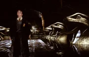 Daniel Radcliffe (Harry Potter).