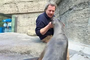 Tierpfleger Helmut Kern ist auch als Nanny unterwegs.