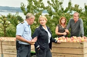 Nele (Floriane Daniel, r.) und ihr neuer Kollege Paul Schott (Tim Wilde, l.) ermitteln auf der Streuobstplantage von Vera (Fiona Coors, im HG l.) und Fred Romberg (Jochen Nickel, im HG r.).