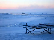 "Menschen am Rande der Welt", "Grönland." Wer nach Oqaatsut im Westen Grönlands, will, muss erst einmal 4.000 Kilometer durch die Luft reisen -- und dann aufs Meer. Je nach Eisgang können die letzten Seemeilen am längsten dauern, vorbei an Eisbergen aller Farben und Formationen. Hier misst man die Zeit nach den Jahreszeiten, nicht nach der Uhr. Wann man ankommt, weiß man nicht. "Imaqa", sagen die Inuit: Vielleicht. Tilmann Bünz und sein Team haben sich eingelassen auf das Ungewisse, haben auf Schiffe und Schlittengespanne, auf Flugzeuge, feste Verabredungen und ein Ende des Sturms gewartet. Am Ende durften sie der Bürgermeisterin Annemarie über die Schulter schauen, wie sie ihrer Tochter Mia die Tracht fürs Leben bestickt, und beim dänischen Lehrer Harald zum neuesten Dorfklatsch Sahnetorte und Hering essen. Sie haben erfahren, wie Trinkwasser schmeckt, das von Eisbergen stammt, und sie wissen jetzt, warum die Inuit bei Schlittenrennen immer die Nase vorne haben und ihre Hunde selten streicheln. Doch Grönland hat auch einen grünen Süden, wo kleine Bäume wachsen und Schafe sich durch den Sommer futtern. Dorthin gelangt man auf einer dreitägigen Seefahrt mit dem Versorgungsschiff entlang der Küste - im Slalom um die Eisberge. Igaliku hat etwas über 30 Einwohner und eine tausendjährige Geschichte in arktischer Landwirtschaft - mit Melkschemeln aus Wirbelknochen vom Wal. Die Inuit-Familie Egede lebt von und mit ihren 600 Schafen - der Gärtner Ola Poulsen hegt und pflegt dort die ersten Erdbeeren des Landes. "Menschen am Rande der Welt", "Grönland." Wer nach Oqaatsut im Westen Grönlands, will, muss erst einmal 4.000 Kilometer durch die Luft reisen -- und dann aufs Meer. Je nach Eisgang können die letzten Seemeilen am längsten dauern, vorbei an Eisbergen aller Farben und Formationen. Hier misst man die Zeit nach den Jahreszeiten, nicht nach der Uhr. Wann man ankommt, weiß man nicht. "Imaqa", sagen die Inuit: Vielleicht. Tilmann Bünz und sein Team haben sich eingelassen auf das Ungewisse, haben auf Schiffe und Schlittengespanne, auf Flugzeuge, feste Verabredungen und ein Ende des Sturms gewartet. Am Ende durften sie der Bürgermeisterin Annemarie über die Schulter schauen, wie sie ihrer Tochter Mia die Tracht fürs Leben bestickt, und beim dänischen Lehrer Harald zum neuesten Dorfklatsch Sahnetorte und Hering essen. Sie haben erfahren, wie Trinkwasser schmeckt, das von Eisbergen stammt, und sie wissen jetzt, warum die Inuit bei Schlittenrennen immer die Nase vorne haben und ihre Hunde selten streicheln. Doch Grönland hat auch einen grünen Süden, wo kleine Bäume wachsen und Schafe sich durch den Sommer futtern. Dorthin gelangt man auf einer dreitägigen Seefahrt mit dem Versorgungsschiff entlang der Küste - im Slalom um die Eisberge. Igaliku hat etwas über 30 Einwohner und eine tausendjährige Geschichte in arktischer Landwirtschaft - mit Melkschemeln aus Wirbelknochen vom Wal. Die Inuit-Familie Egede lebt von und mit ihren 600 Schafen - der Gärtner Ola Poulsen hegt und pflegt dort die ersten Erdbeeren des Landes.