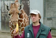 Die Giraffe Sylvester und ihr Pfleger Ferdinand Heinemann.