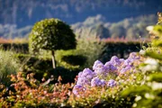 Hinter den Hecken Gartenatelier in Domat/Ems GR Staffel 6 Folge 3 Das Gartenatelier&raquo;  &ndash; ein Schaugarten mit unz&auml;hligen R&auml;umen wie Gem&uuml;se-, Obst- oder Pr&auml;riegarten. 2023