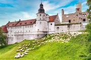 Der Albsch&auml;ferweg hat nicht nur reizvolle Landschaften zu bieten. An der Strecke liegen auch beeindruckende Bauwerke, wie die Festungsanlage Schloss Hellenstein oberhalb von Heidenheim an der Brenz.