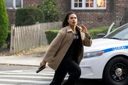 Pictured: Roxy Sternberg as Special Agent Sheryll Barnes. Pictured: Roxy Sternberg as Special Agent Sheryll Barnes.