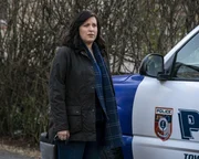 Jo Evans (Allison Tolman).