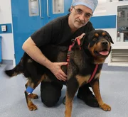 Noel Fitzpatrick