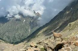Die Schutzh&uuml;tte Morelli Buzzi liegt auf 2.300 Metern in den Seealpen &ndash; Wege und Zufahrtsstra&szlig;en gibt es keine.