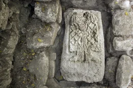 Calakmul - Die Stele einer Prinzessin und die Entzifferung der Inschriften k&ouml;nnten Aufschluss &uuml;ber die Geschichte der alten Mayas geben.