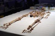 Das Skelett der Schamanin im Landesamt f&uuml;r Denkmalpflege und Arch&auml;ologie