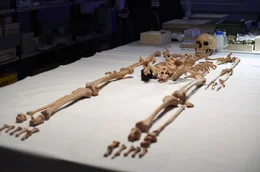 Das Skelett der Schamanin im Landesamt f&uuml;r Denkmalpflege und Arch&auml;ologie