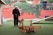 Cesar Millan Cesar Millan