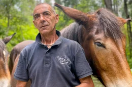 Luciano Ellena ist der letzte S&auml;umer&ndash; mit seinen Mulis transportiert er Lasten durch die unwegsamen Seealpen im italienischen Piemont.
