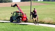 Bernd Hackl auf Osihma beim Antischreck-Training. Bernd Hackl auf Osihma beim Antischreck-Training.