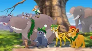 L-R, vorne: Timon, Beshte, Ono, Bunga, Fuli, Kion