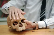 Die j&uuml;ngsten Funde stellen die bisher g&uuml;ltige Geschichte des Homo sapiens auf den Kopf und machen die marokkanische Fundst&auml;tte Jebel Irhoud zum Schauplatz eines der gr&ouml;&szlig;ten wissenschaftlichen Abenteuer des 21. Jahrhunderts.