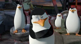 Die Pinguine (v.l.) Kowalski, Skipper, Private und Rico haben Afrika verlassen und sind nun in Monte Carlo.