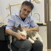 Noel Fitzpatrick