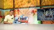 Woozle wurde vor 15 Jahren von einer Spinne verflucht. Wird sich der Fluch heute erf&uuml;llen?