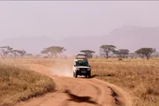 Gel&auml;ndewagen in der Serengeti, Tansania