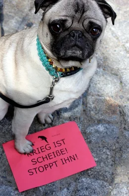 Mops Teddy.