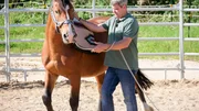 Bernd Hackl und Uli im Training auf der 7P-Ranch
