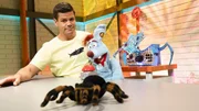 Woozle hat panische Angst vor Spinnen, weil vor 15 Jahren die gesamte Familie Goozle von einer verflucht worden ist. Und ausgerechnet heute soll sich dieser Fluch erf&uuml;llen.