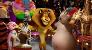 Mit der Zeit wird aus der Zweckgemeinschaft zwischen (v.l.) Vitaly, Gia, Stefano, Marty, Alex, Gloria und Melman eine echte Freundschaft - und ein furioser Zirkus!