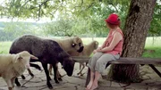 Falkensteiner; Landwirtin mit ihren Schafen.