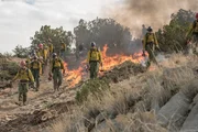 Die Granite Mountain Hotshots&igrave; versuchen, jeden Flammenherd zu b&auml;ndigen.