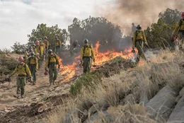 Die Granite Mountain Hotshots&igrave; versuchen, jeden Flammenherd zu b&auml;ndigen.