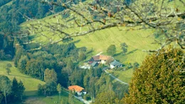 Elsberregion Wiesenwienerwald.